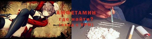 ГАЛЛЮЦИНОГЕННЫЕ ГРИБЫ Касимов