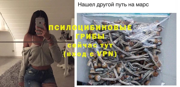 твердый Покровск