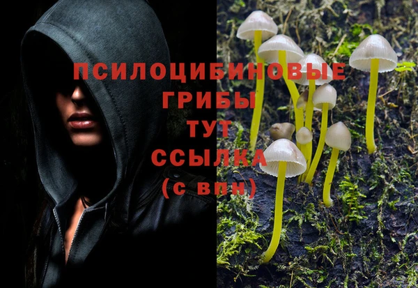 метадон Абаза